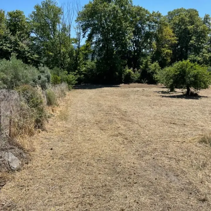 Land Of 1800 M² In Sithonia, Chalkidiki