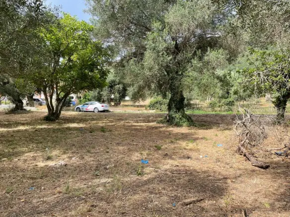 Land Of 5020 M² In Corfu