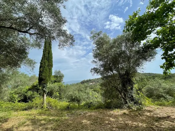 Land Of 5020 M² In Corfu