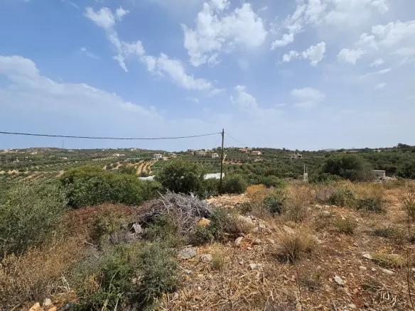 Land Of 9039 M² In Crete