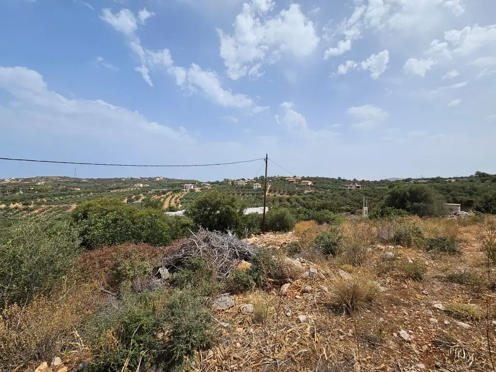 Land Of 9039 M² In Crete