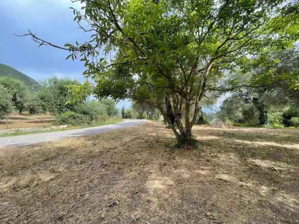 Land Of 5020 M² In Corfu