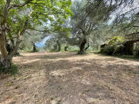 Land Of 5020 M² In Corfu