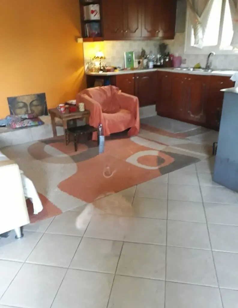 Commercial Property Of 530 M² In Corfu