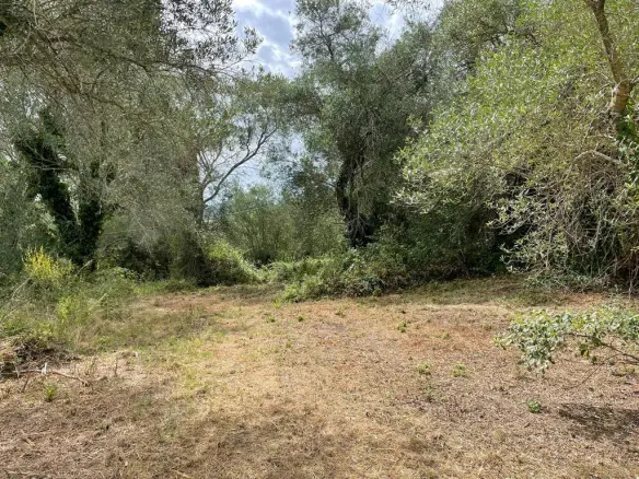 Land Of 5020 M² In Corfu