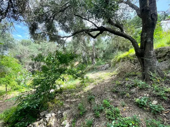 Maisonette Of 135 M² In Corfu