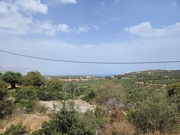 Land Of 9039 M² In Crete