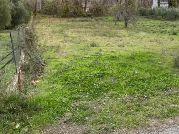 Land Of 1800 M² In Sithonia, Chalkidiki