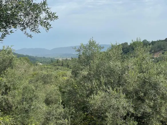 Land Of 5020 M² In Corfu