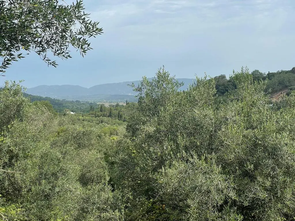 Land Of 5020 M² In Corfu