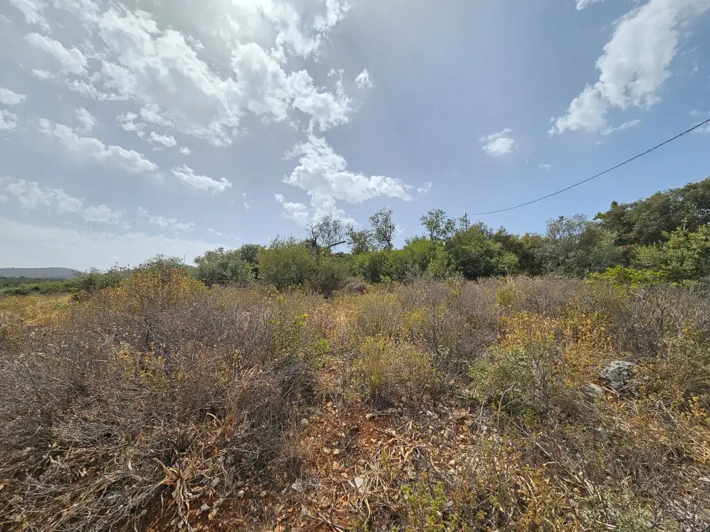 Land Of 9039 M² In Crete