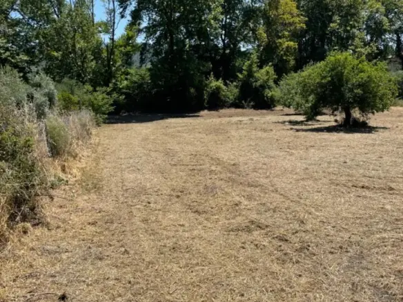 Land Of 1800 M² In Sithonia, Chalkidiki
