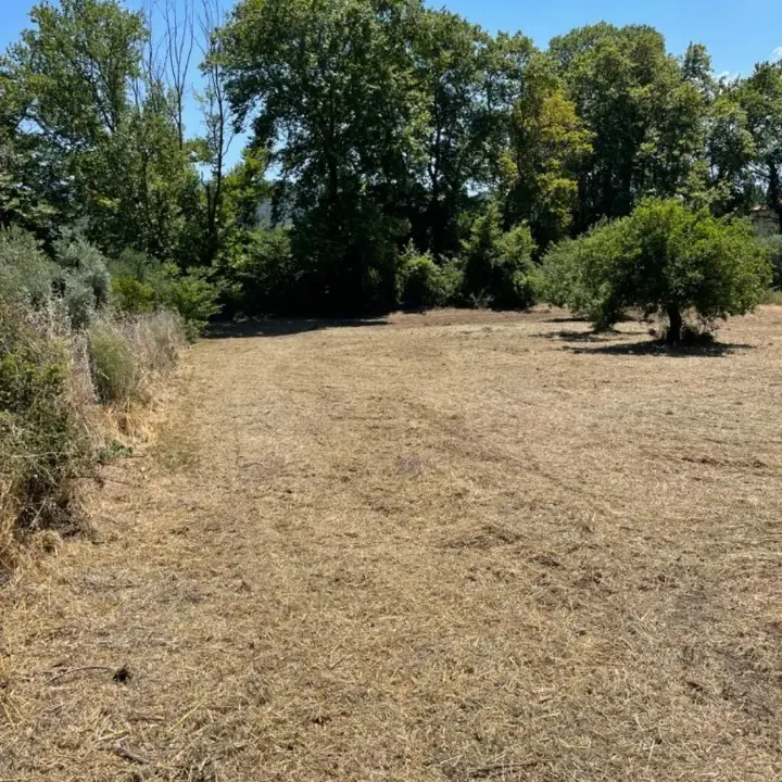 Land Of 1800 M² In Sithonia, Chalkidiki