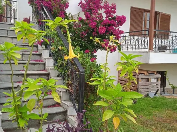 Flat Of 100 M² In Chalkidiki