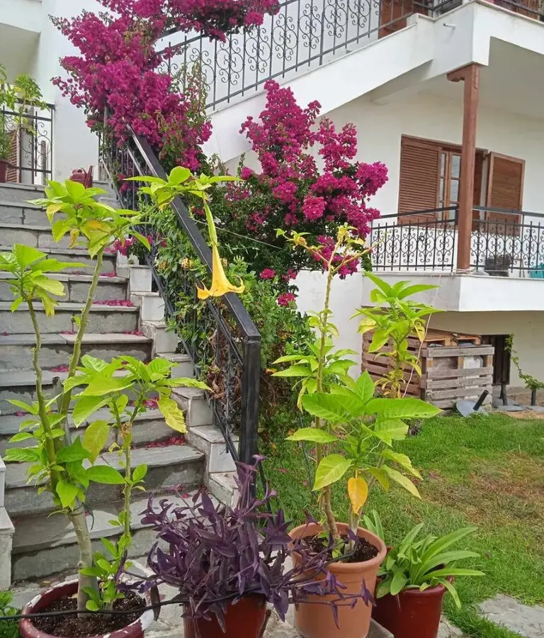 Flat Of 100 M² In Chalkidiki