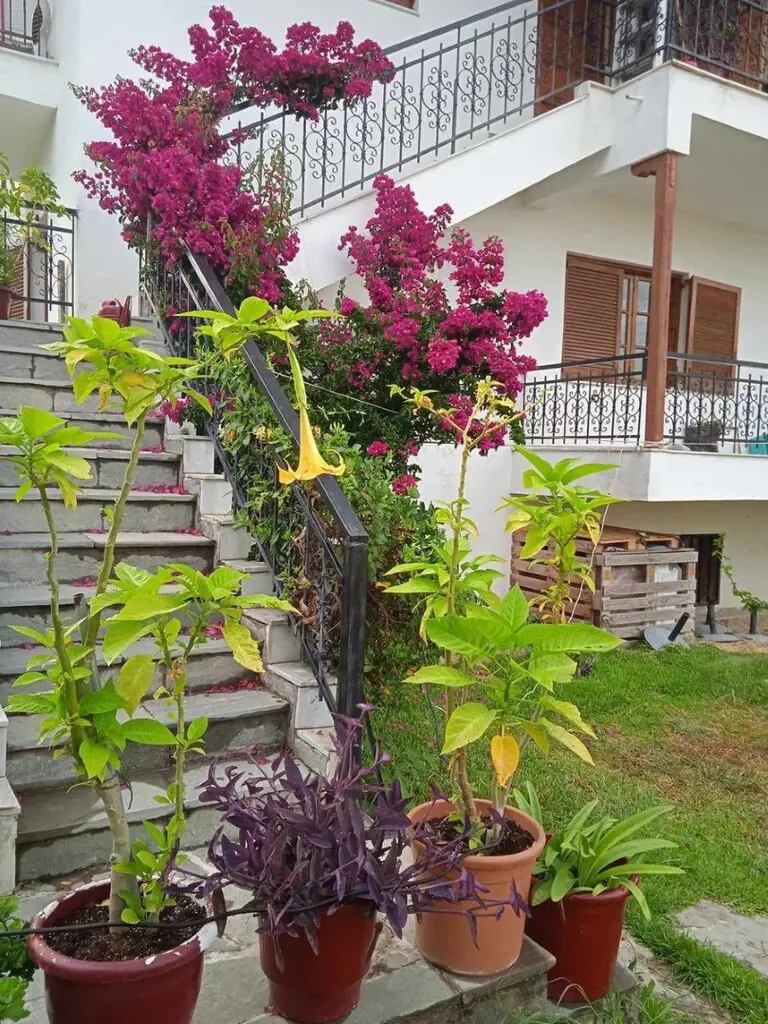Flat Of 100 M² In Chalkidiki