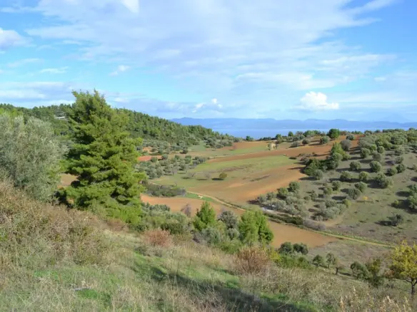 Land Of 5100 M² In Kassandra, Chalkidiki