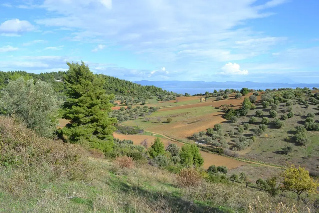 Land Of 5100 M² In Kassandra, Chalkidiki