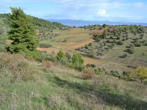 Land Of 5100 M² In Kassandra, Chalkidiki