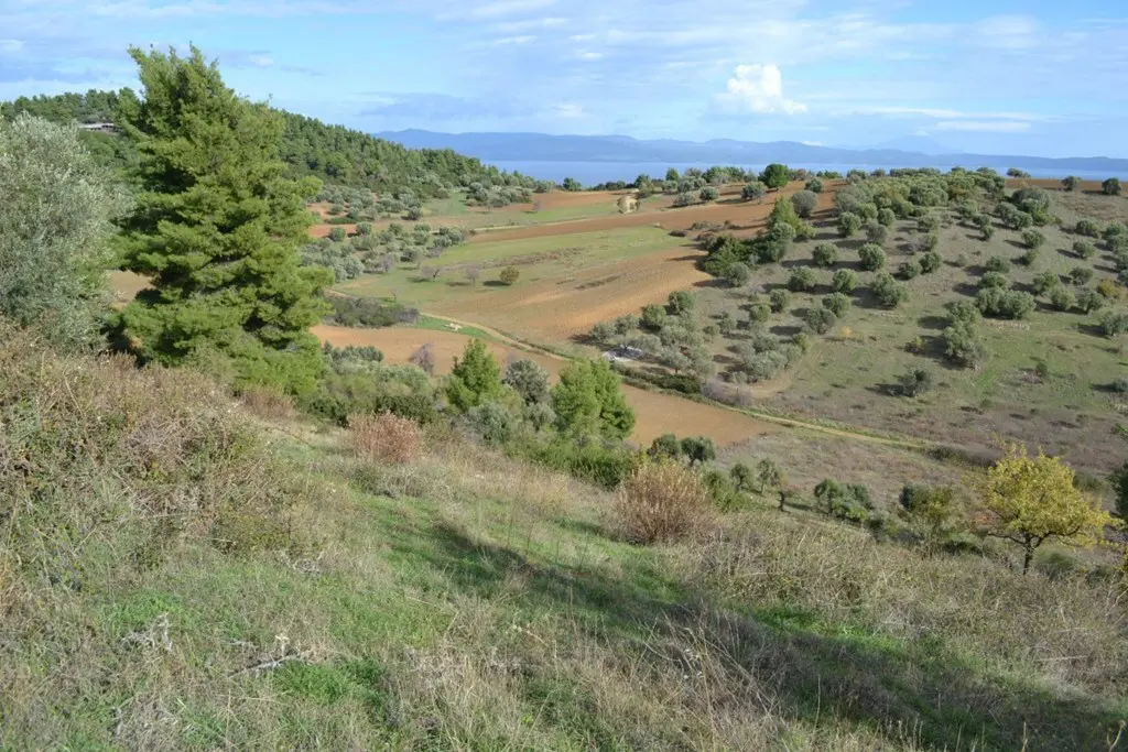 Land Of 5100 M² In Kassandra, Chalkidiki