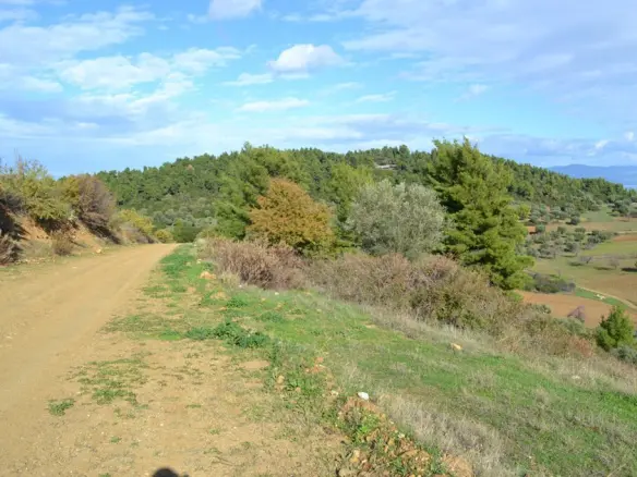 Land Of 5100 M² In Kassandra, Chalkidiki