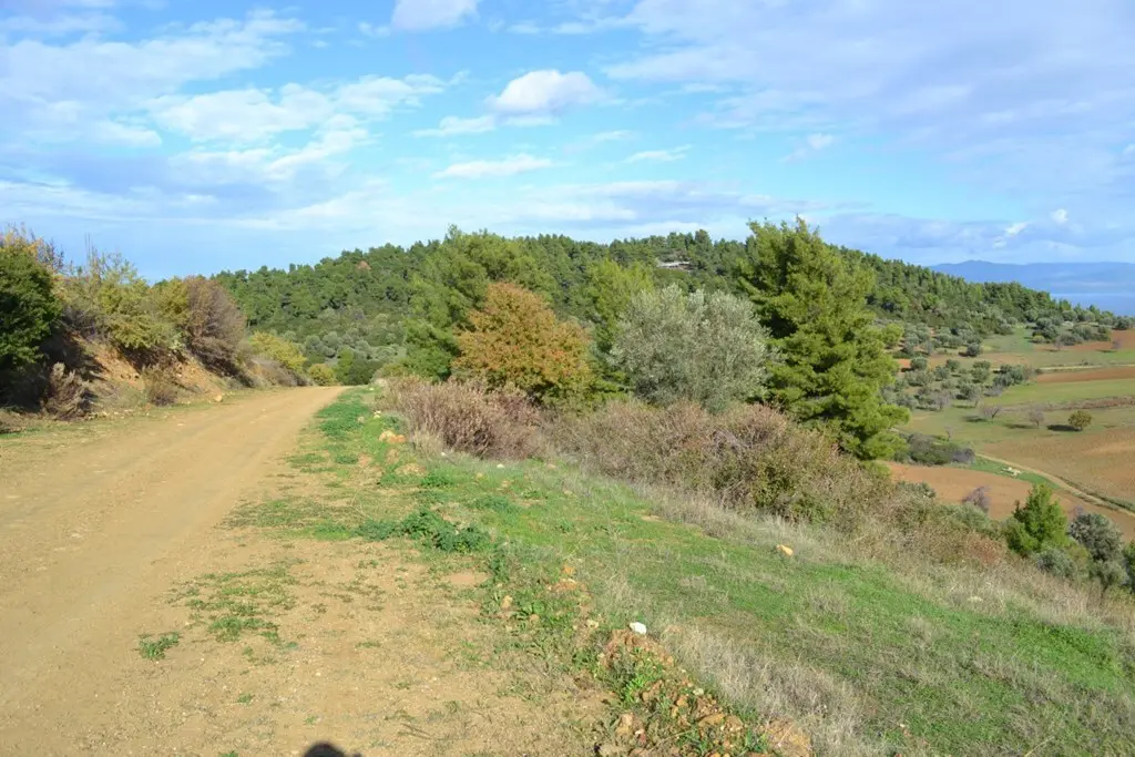 Land Of 5100 M² In Kassandra, Chalkidiki
