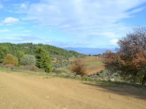 Land Of 5100 M² In Kassandra, Chalkidiki