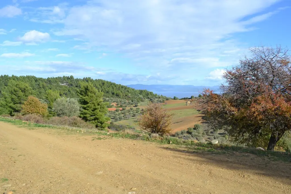 Land Of 5100 M² In Kassandra, Chalkidiki