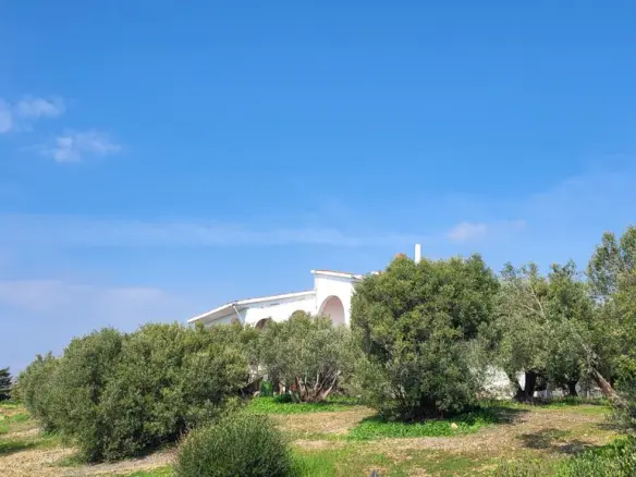 Detached House Of 350 M² In Chalkidiki