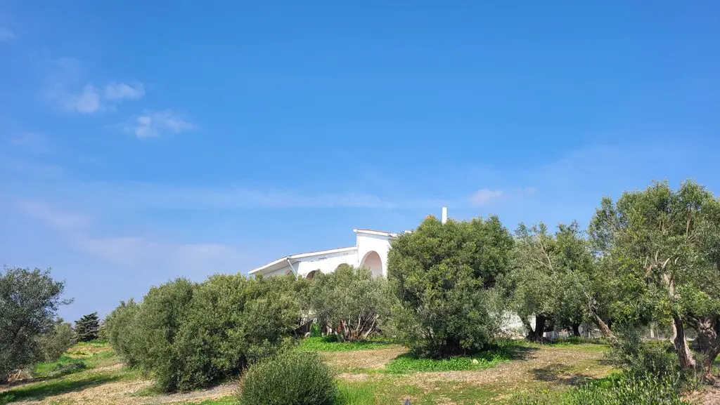 Detached House Of 350 M² In Chalkidiki