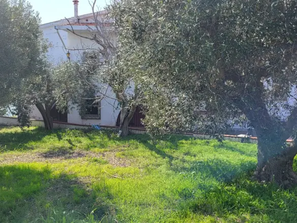 Detached House Of 350 M² In Chalkidiki