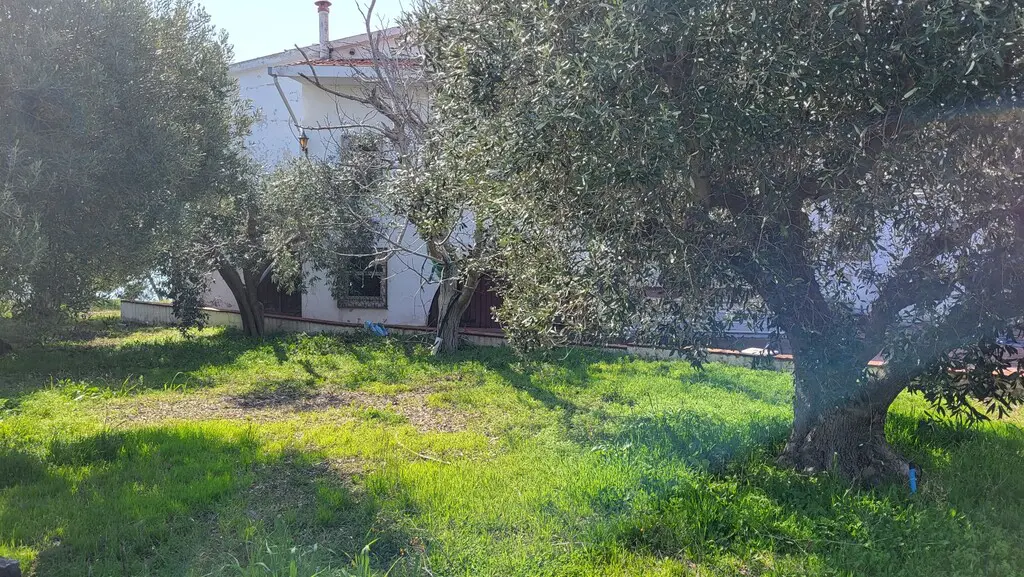 Detached House Of 350 M² In Chalkidiki