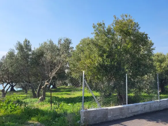 Detached House Of 350 M² In Chalkidiki