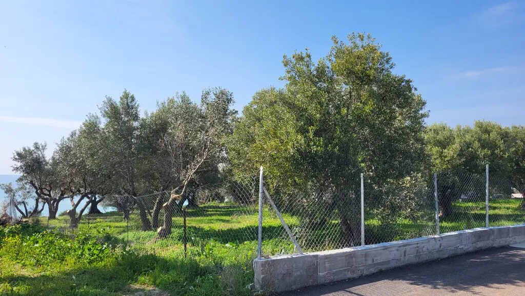 Detached House Of 350 M² In Chalkidiki