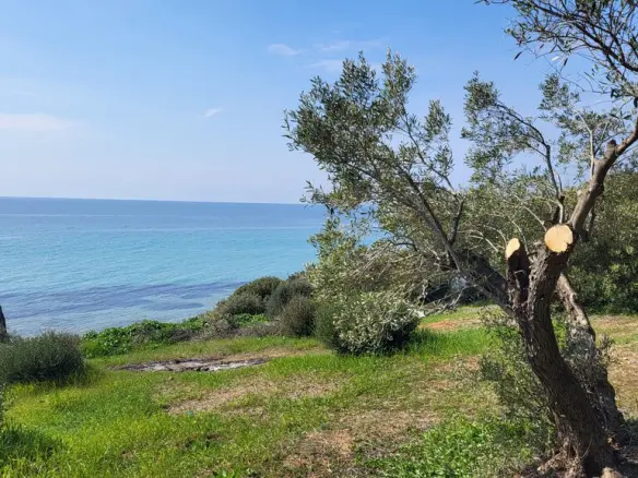 Detached House Of 350 M² In Chalkidiki