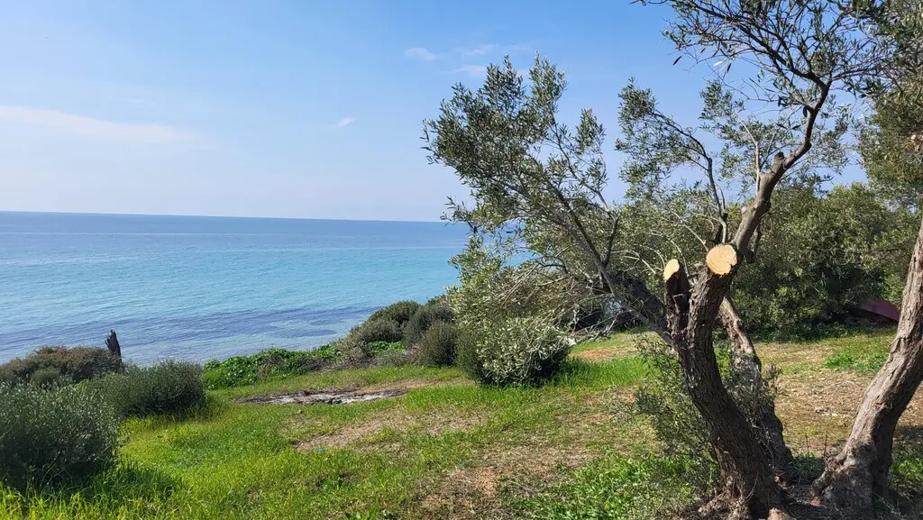 Detached House Of 350 M² In Chalkidiki