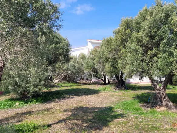 Detached House Of 350 M² In Chalkidiki