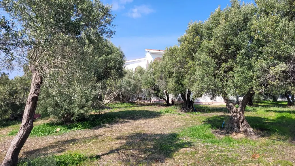 Detached House Of 350 M² In Chalkidiki