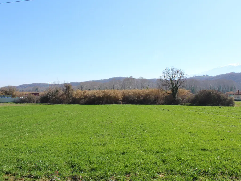 Land Of 3400 M² In Olympic Coast