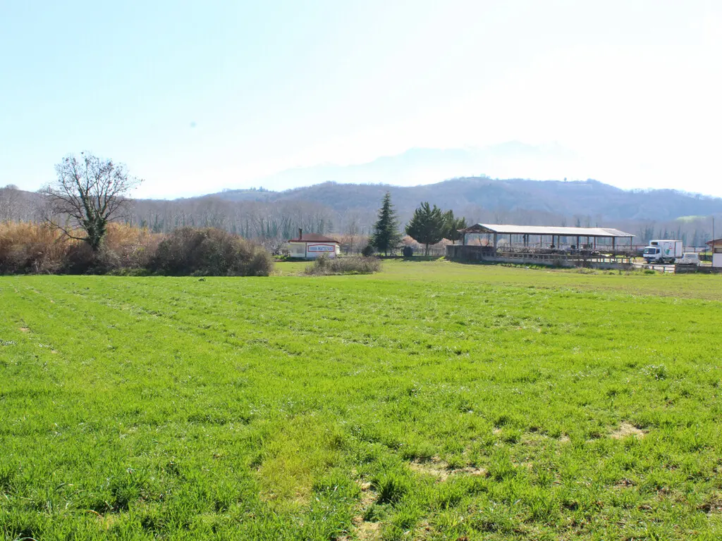 Land Of 3400 M² In Olympic Coast