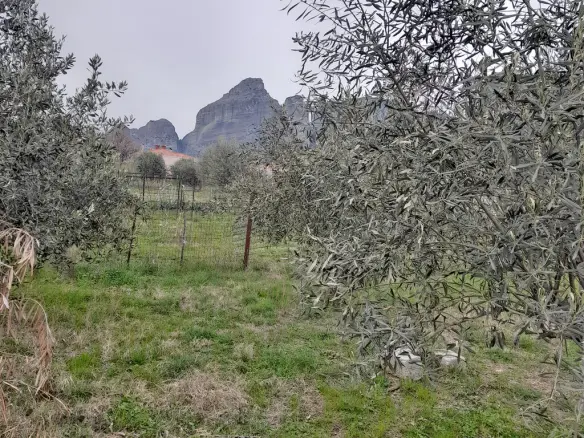 Land Of 180 M² In Central Greece