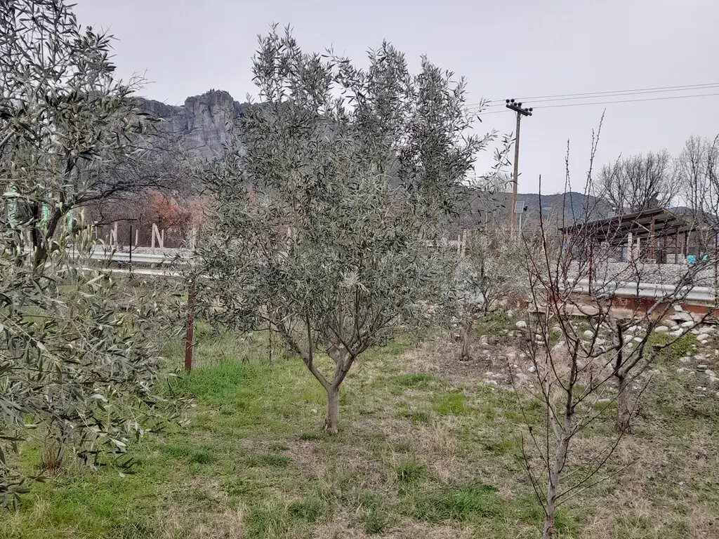 Land Of 180 M² In Central Greece
