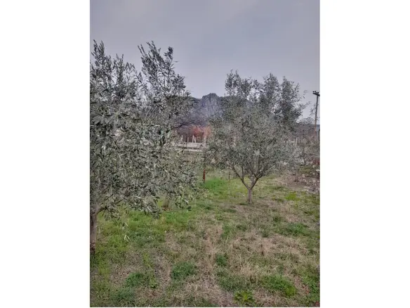 Land Of 180 M² In Central Greece