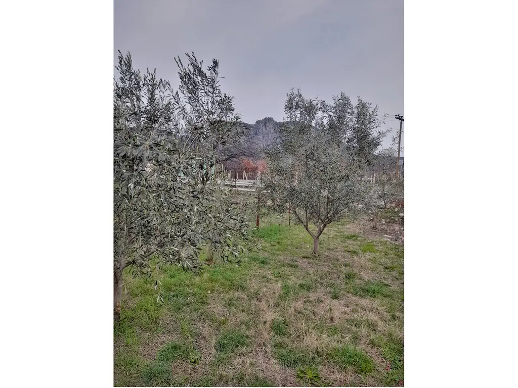 Land Of 180 M² In Central Greece