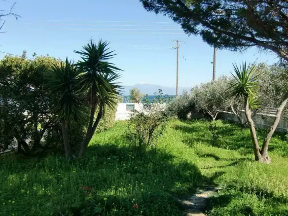Detached House Of 205 M² In Peloponnese