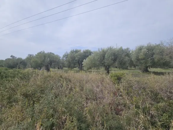 Land Of 5100 M² In Kassandra, Chalkidiki
