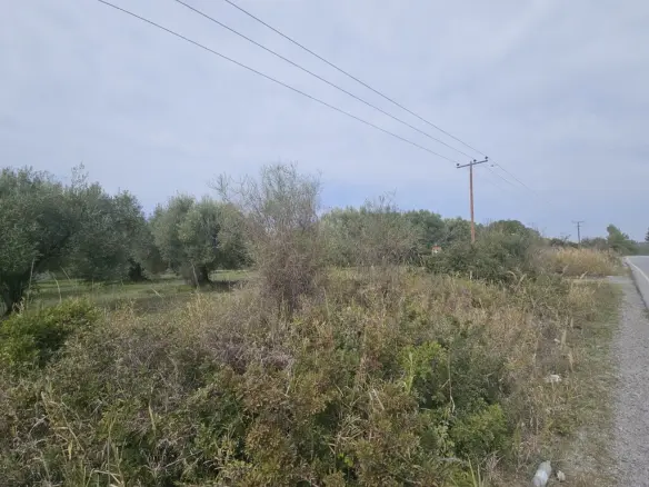 Land Of 5100 M² In Kassandra, Chalkidiki