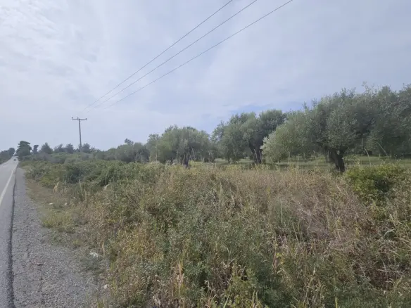 Land Of 5100 M² In Kassandra, Chalkidiki