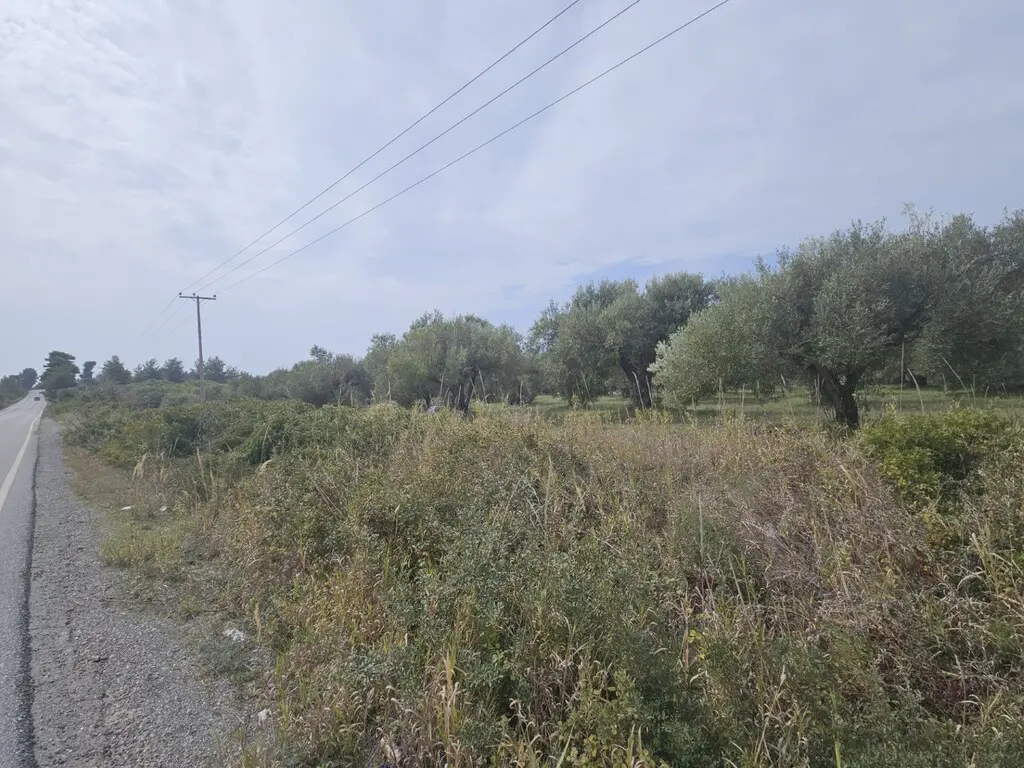 Land Of 5100 M² In Kassandra, Chalkidiki