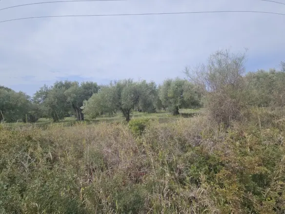 Land Of 5100 M² In Kassandra, Chalkidiki